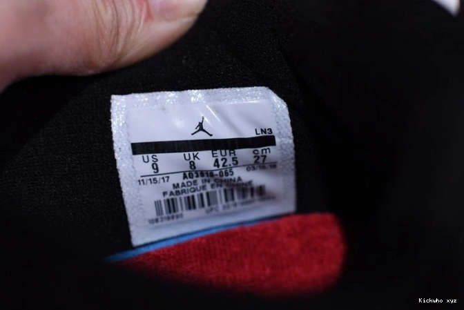 Jordan 4 Retro NRG Air Raptors